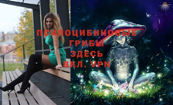 ALPHA PVP Алексин