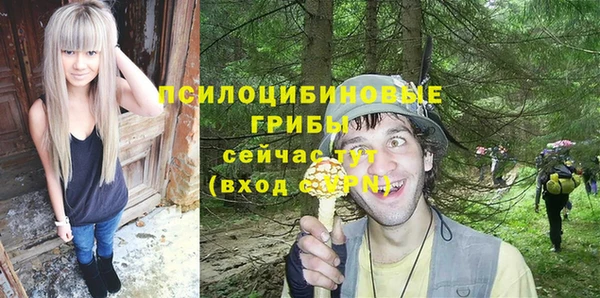 МДМА Алексеевка