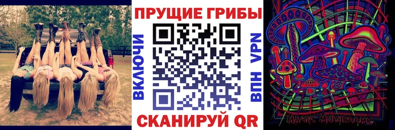 MEGA ссылка  цена   Шадринск  Галлюциногенные грибы Cubensis 