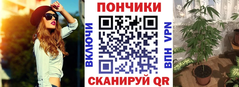 МАРИХУАНА план  мега ТОР  Шадринск 